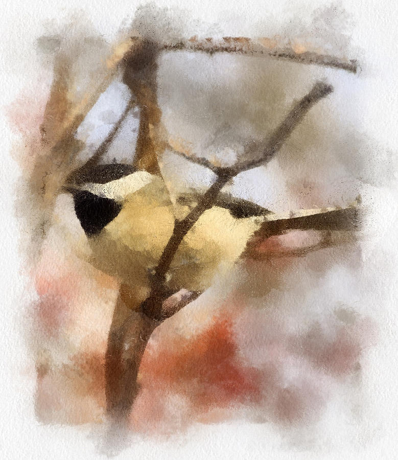 Chickadee Watercolor Painting by Kerri Farley