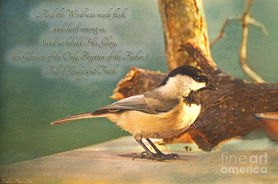Nature Photograph - Chickadee with verse by Debbie Portwood