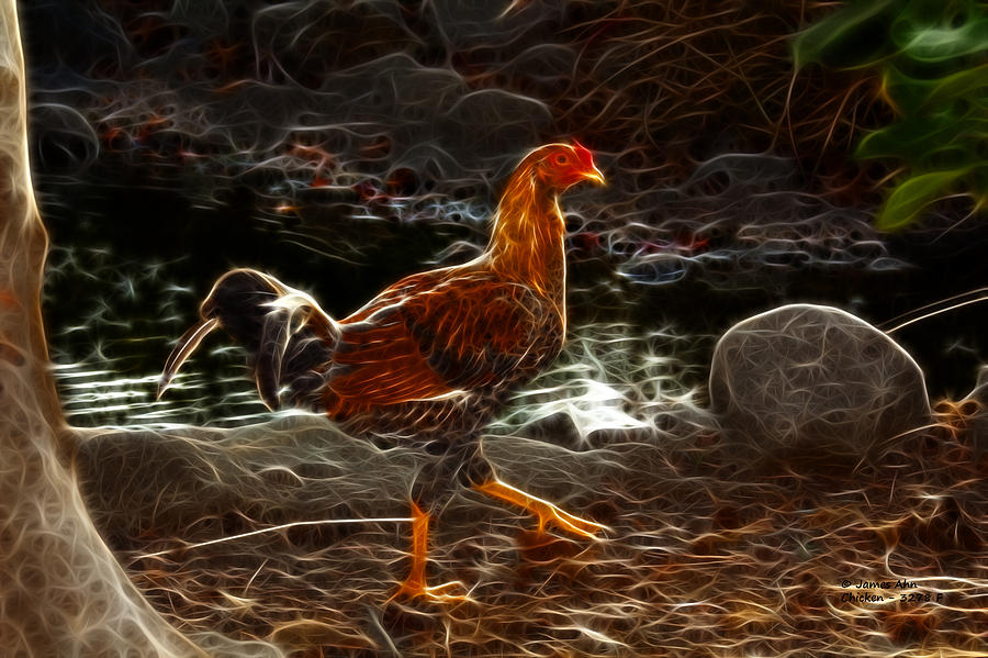 Chicken 3278 F Digital Art by James Ahn