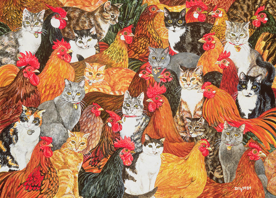Chicken-cats Photograph by Ditz