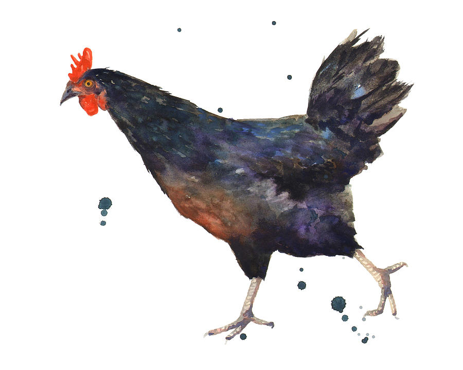 Chicken Painting - Chicken Chase by Alison Fennell