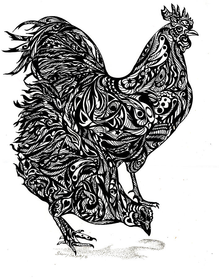 Chicken Drawing - Chicken Feathers by Sherry Shipley