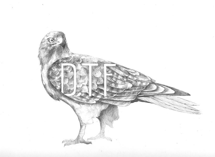 Chicken Drawing - Chicken Hawk by Alexander M Petersen