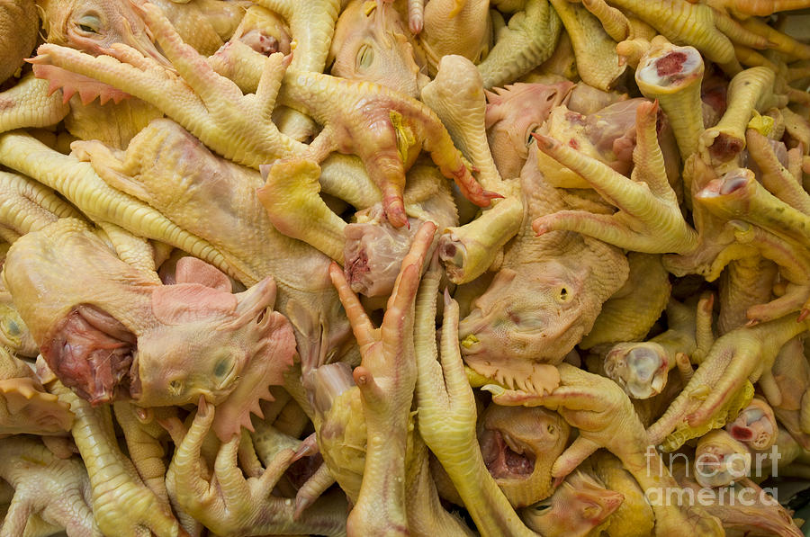 Chicken Heads And Feet Photograph by William H. Mullins