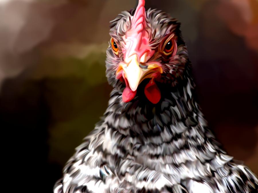 Chicken Digital Art - Chicken by Karen Sheltrown
