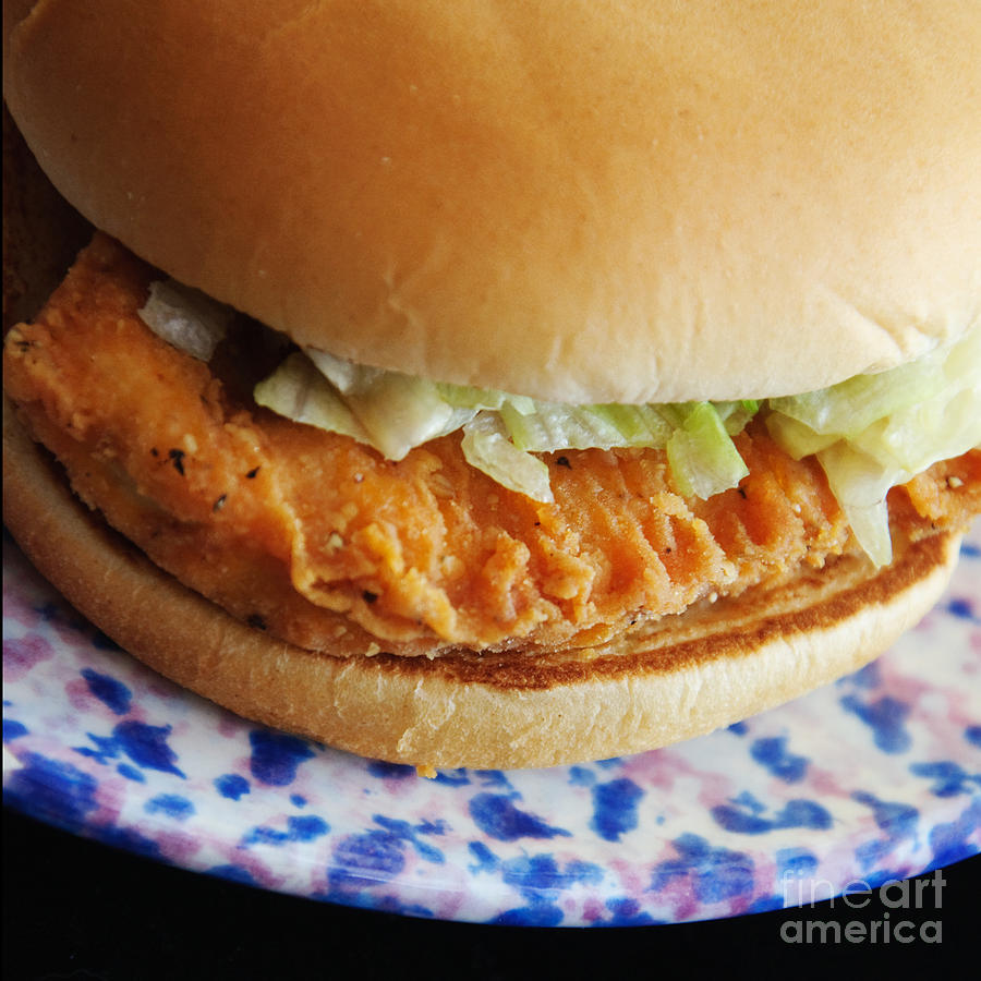 Chicken Little Sandwich Photograph by Andee Design