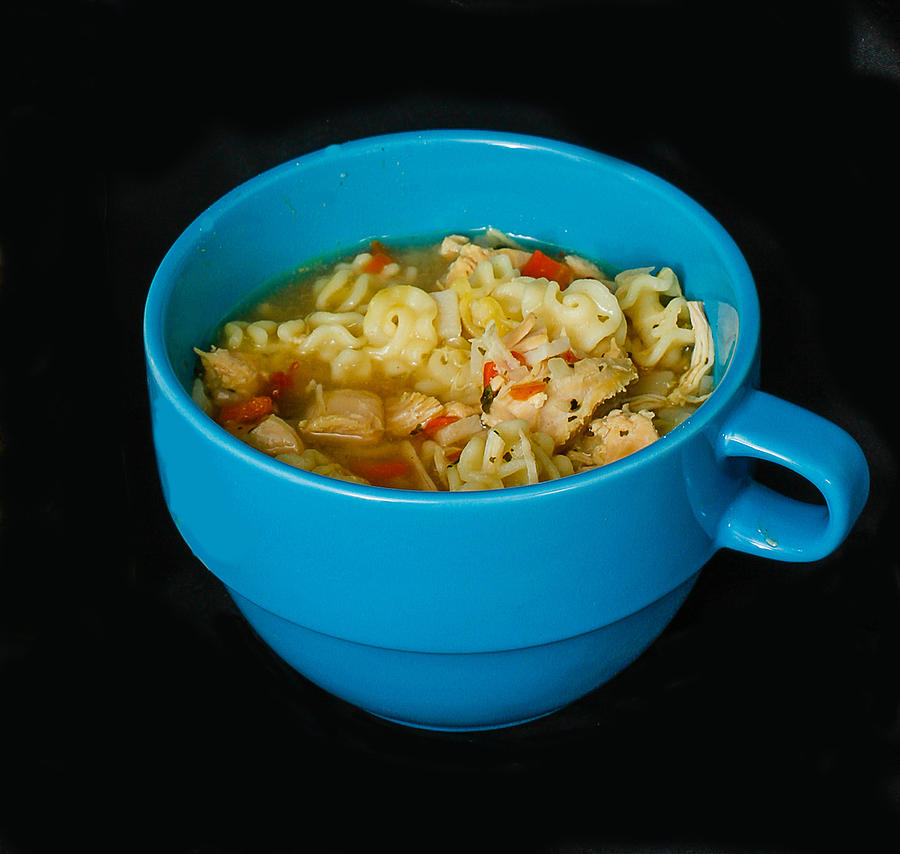Chicken Noodle Soup Photograph by Robert Hebert