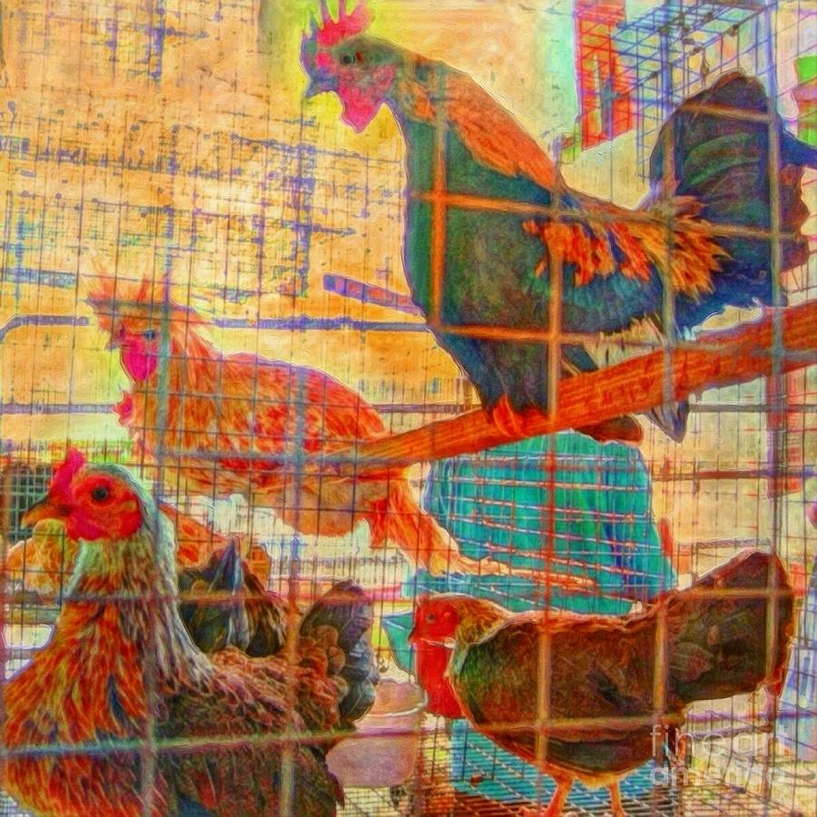 S Chickens at the Ag Fair - Square Painting by Lyn Voytershark