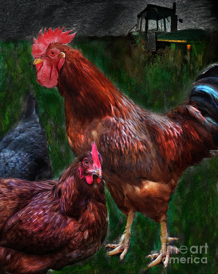 Chickens Digital Art by Lisa Redfern