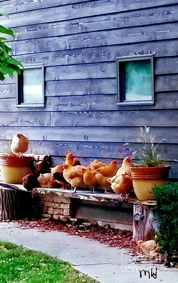 Chickens on a Bench Photograph by Marsha Heiken