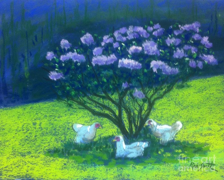 Chickens on Tancook Island Pastel by Rae  Smith