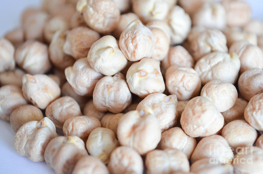 Chickpeas Photograph by Andrea Anderegg