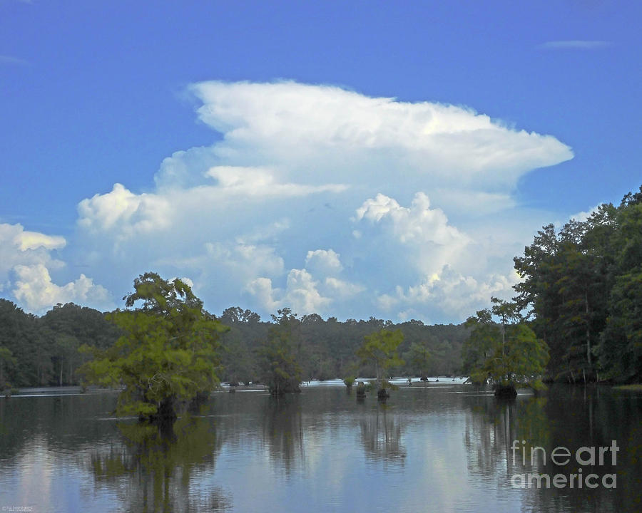 Chicot Swamp View Louisiana Photograph by Lizi Beard-Ward
