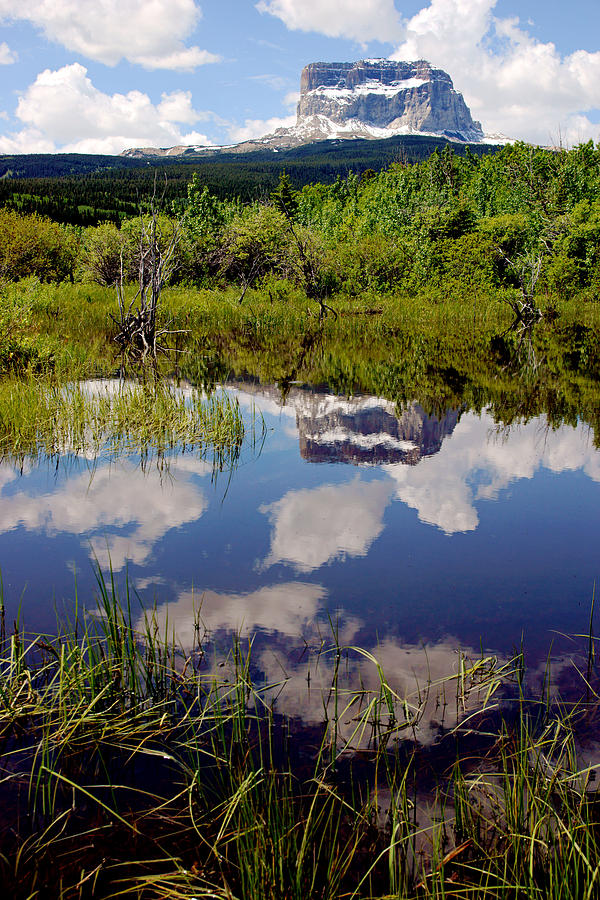 Chief Mountain Reflection Photograph by Daniel Woodrum