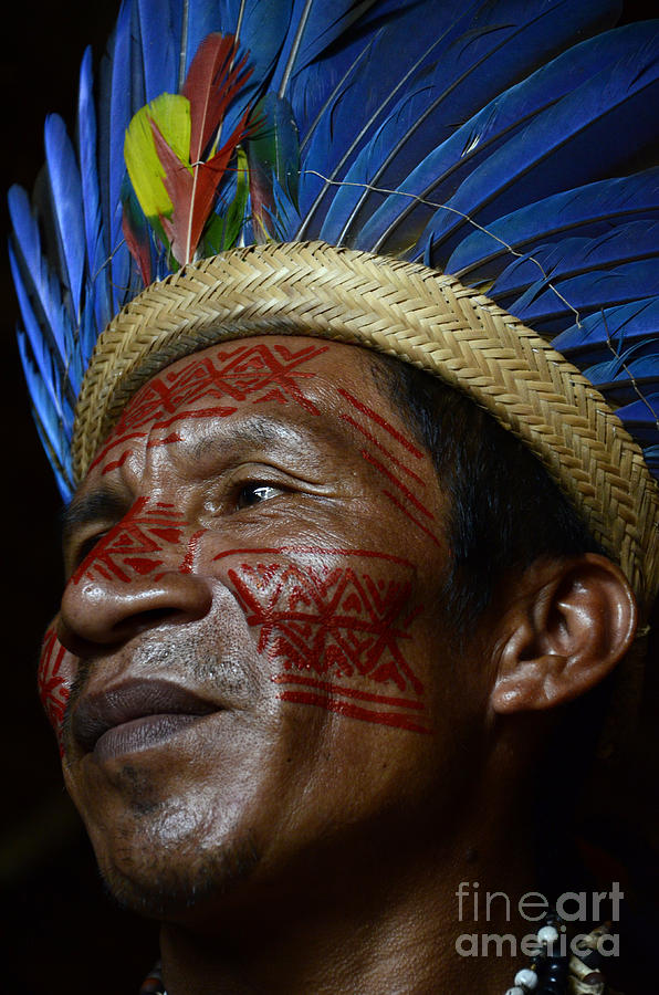 Chief Of The Amazon 1 Photograph by Bob Christopher
