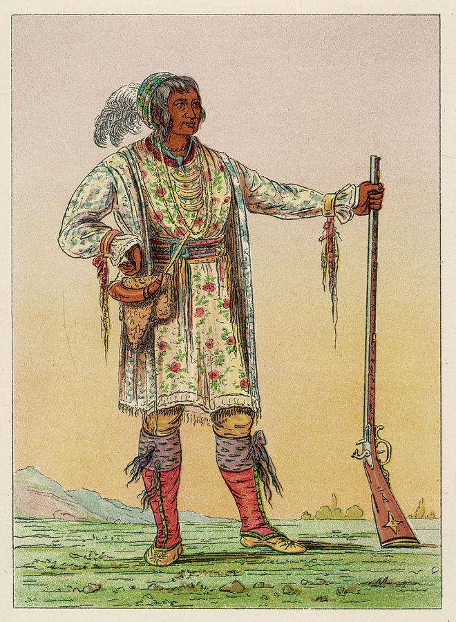 Chief Of The Seminoles In Florida Drawing by Mary Evans Picture Library ...