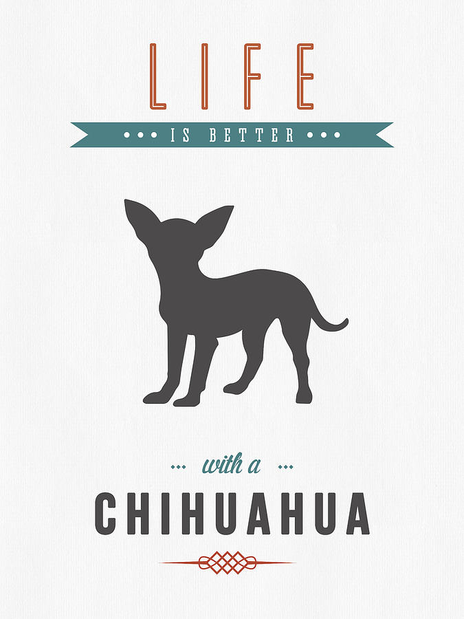 Chihuahua Digital Art - Chihuahua 01 by Aged Pixel