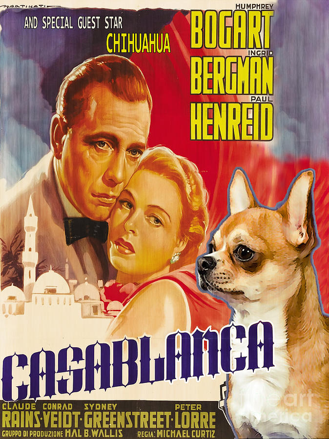 Casablanca Movie Painting - Chihuahua Art - Casablanca Movie Poster by Sandra Sij
