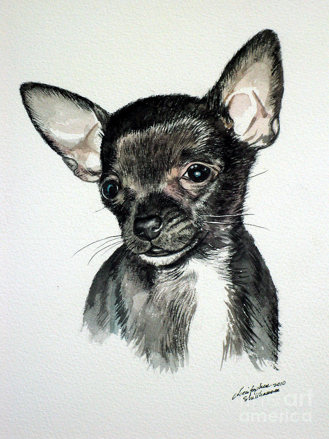 Chihuahua black 2 Painting by Christopher Shellhammer