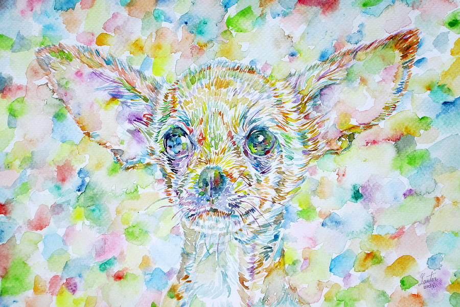 Chihuahua Painting by Fabrizio Cassetta