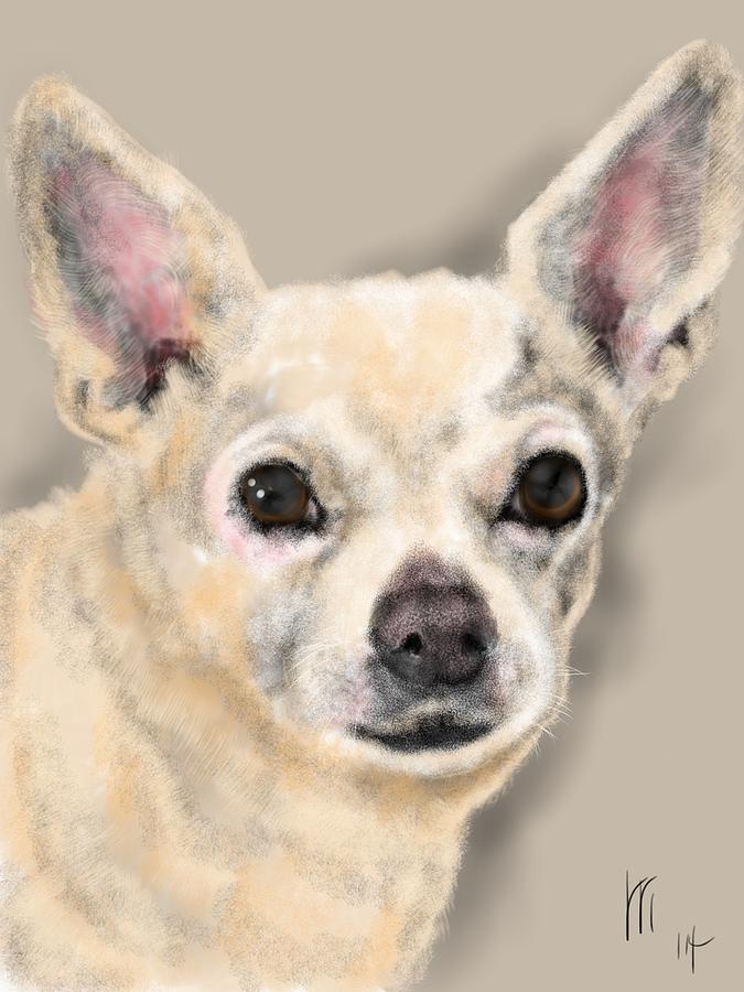 Chihuahua  Painting by Lois Ivancin Tavaf