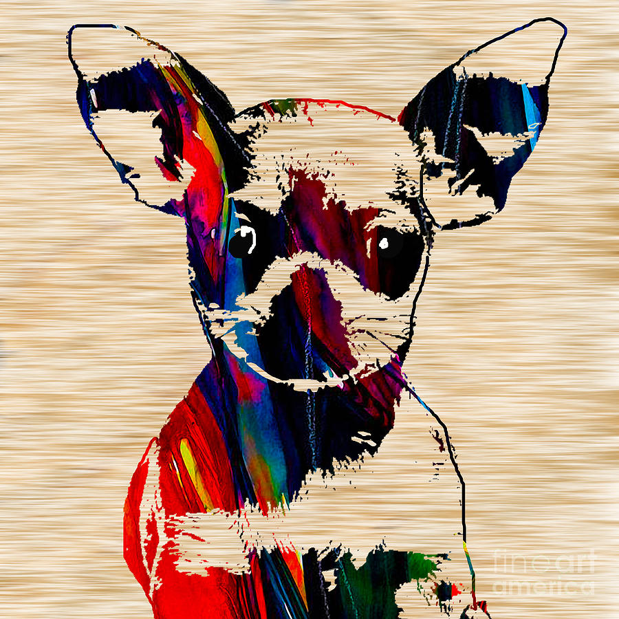 Chihuahua Puppy  Mixed Media by Marvin Blaine