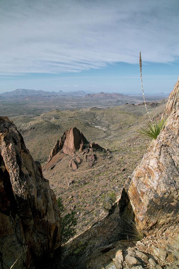 Chihuahuan Desert Photograph by Bob Gibbons/science Photo Library
