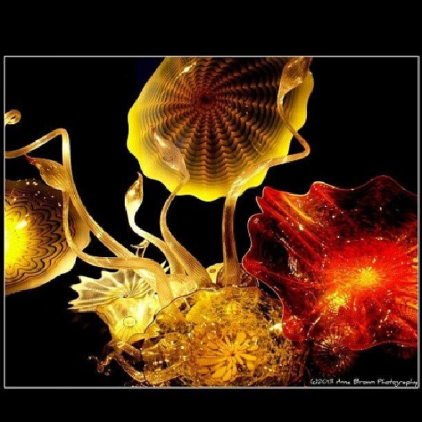 Chihuly Glass Installation... Monterey Photograph by Anna Brown