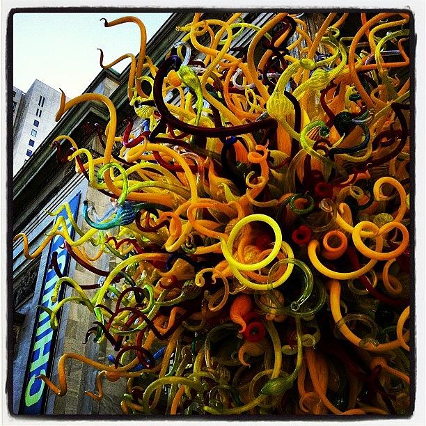 Chihuly!!! Photograph by Shayne Arcilla