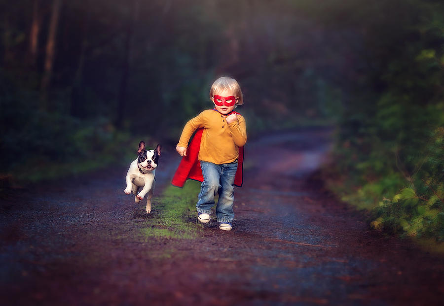 Child dressed up like a super hero with sidekick french bulldog puppy Photograph by Sarahwolfephotography