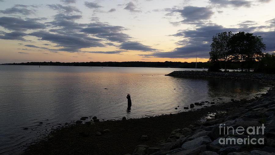 Child Fishing At Sunset In Maryland Photograph by Paddy Shaffer