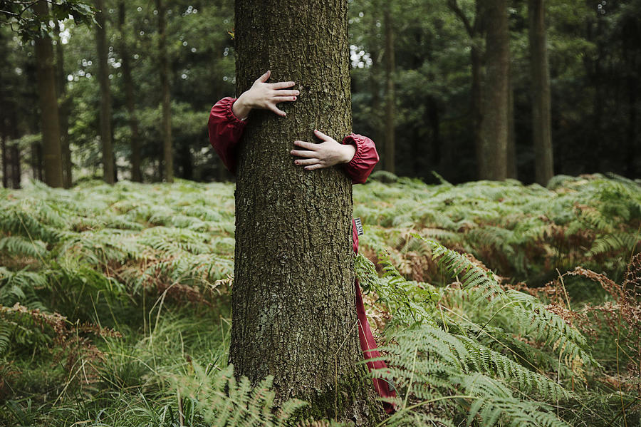 Child hugging tree. Photograph by David Trood