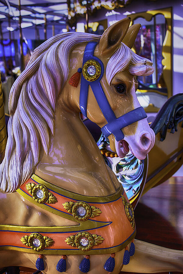 Childhood Carrousel Ride Photograph by Garry Gay