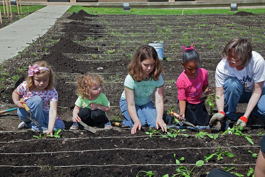 Spinach Photograph - Children At Work In A Community Garden by Jim West