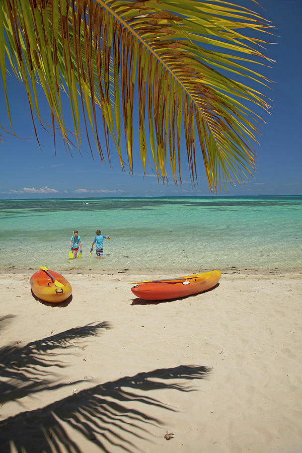 Beach Photograph - Children, Kayaks And Palm Frond by David Wall