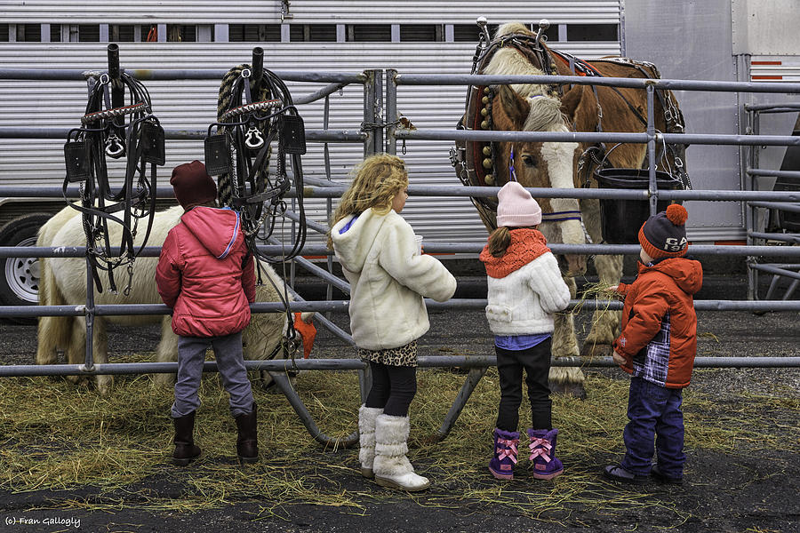 Children Love Horses Photograph by Fran Gallogly