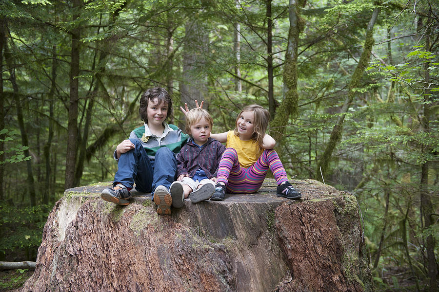 Children sitting together on large tree stump in forest Photograph by PhotoAlto/Jerome Gorin