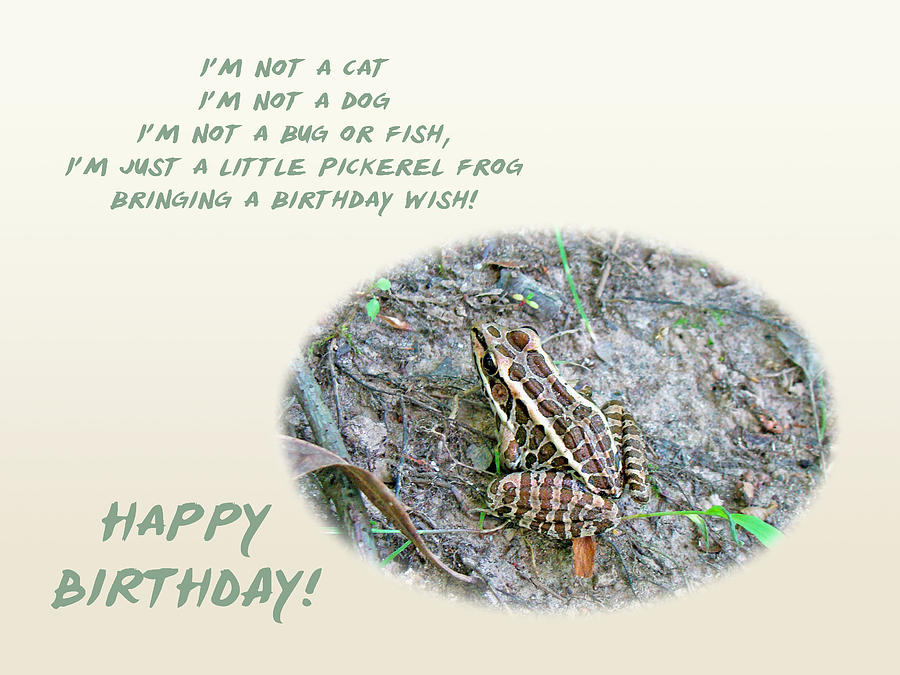 Childs Birthday Greeting Card - Pickerel Frog Photograph by Carol Senske