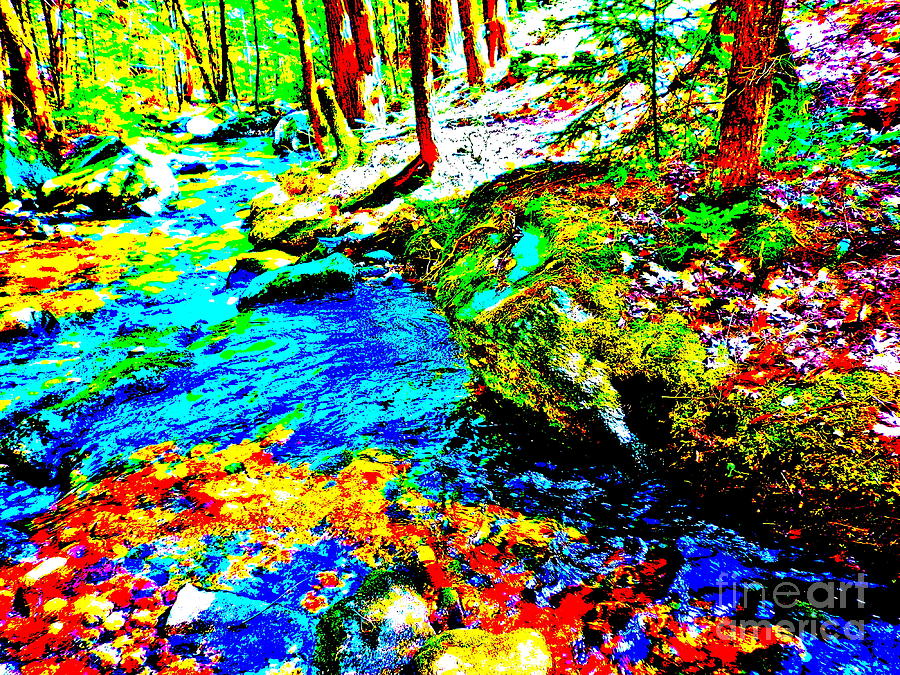 Childs Brook Ultra 191 Photograph by George Ramos