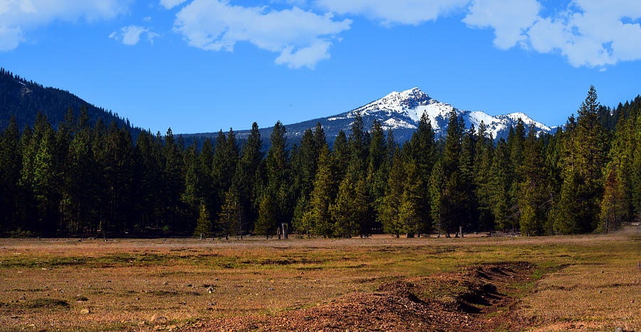 Childs Meadow Brokeoff Mountain Photograph by Frank Wilson