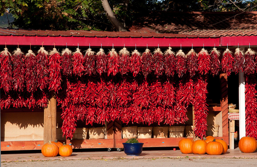 Chile Ristras Photograph by Carolyn DAlessandro