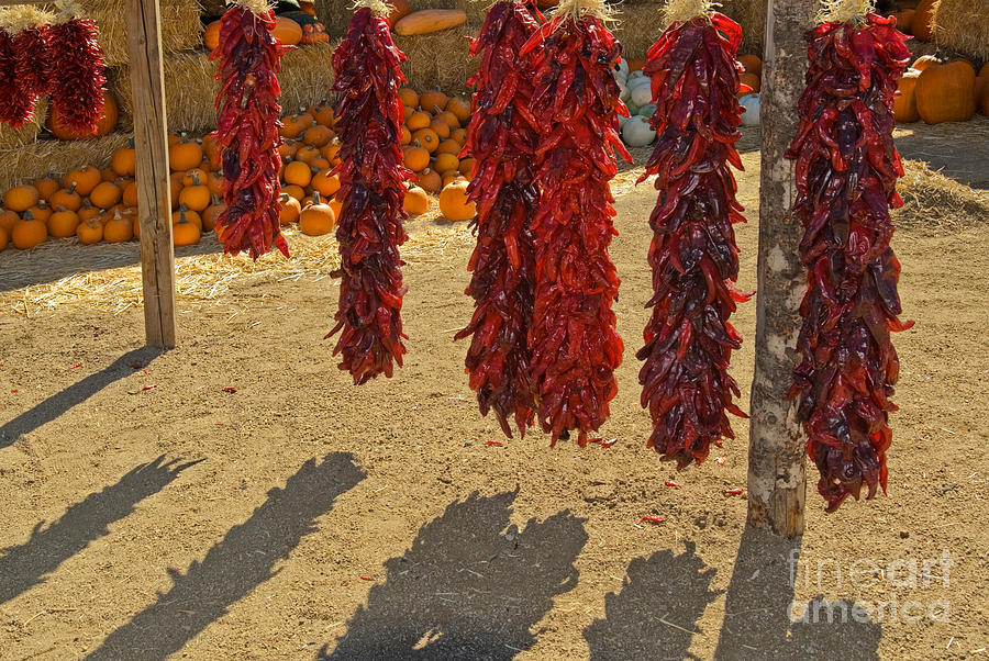 Chile Ristras Photograph by Richard and Ellen Thane
