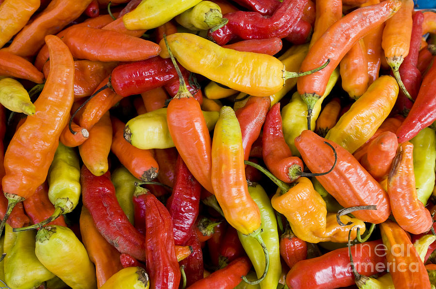 Chili Peppers Photograph by William H. Mullins