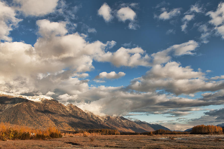 Chilkat Mountains in Fall Photograph by Michele Cornelius