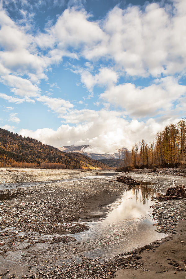 Chilkat River Fall Photograph by Michele Cornelius