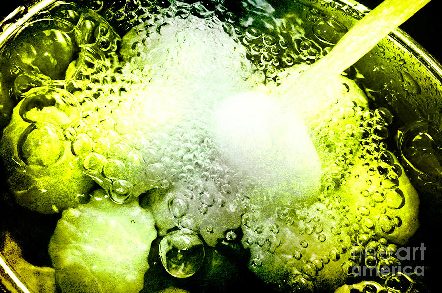 Chill Out Color Frenzy Green Photograph by Andee Design