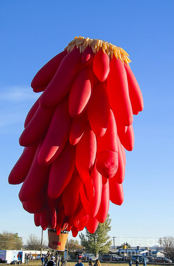 New Mexico Photograph - Chilli ristra balloon by Steven Ralser