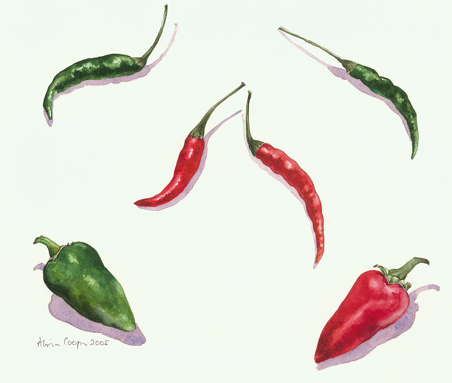 Vegetable Painting - Chillies and Peppers by Alison Cooper