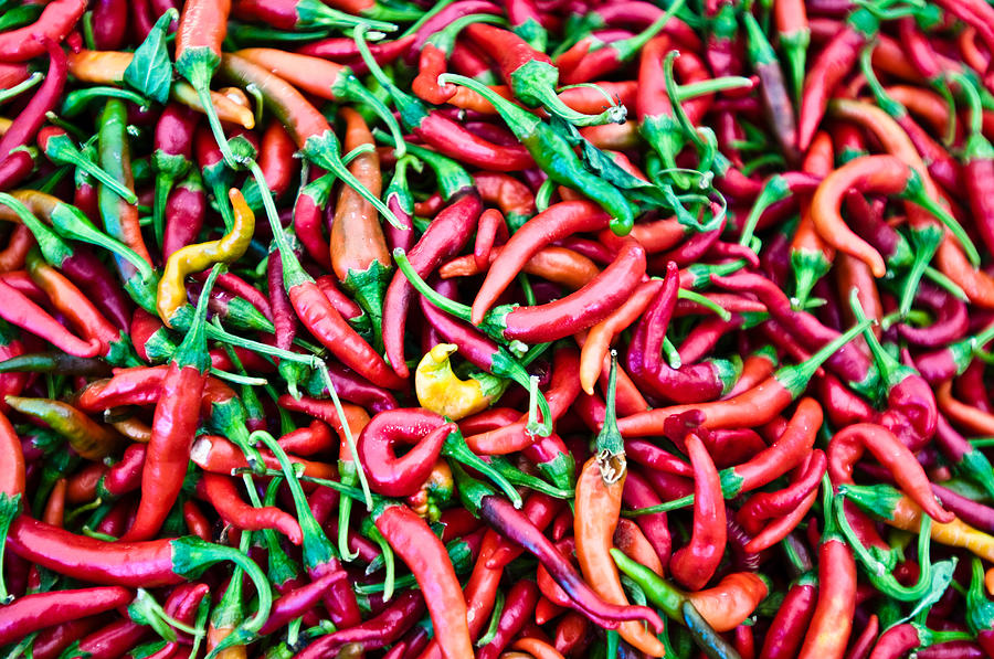 Chillies, Oludeniz market, Turkey Photograph by Image Source