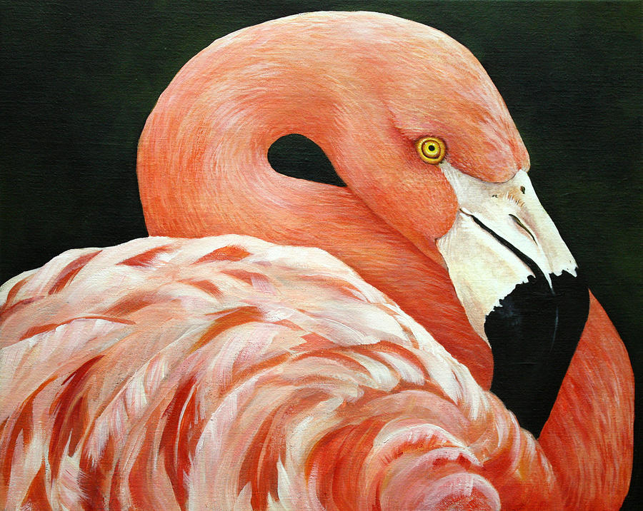 Flamingo Painting - Chillin by Lorraine Ulen